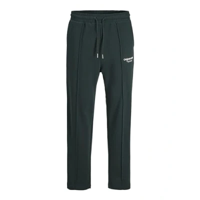 Afbeelding van JACK &amp; JONES Heren Plus Size joggingbroek Kane, Magical Forest, 46