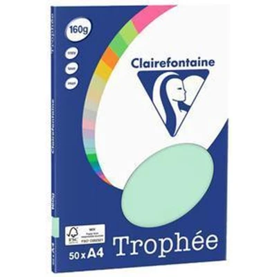 Afbeelding van Clairefontaine Trophée groen kopieerpapier A4 160 gram 50 vellen