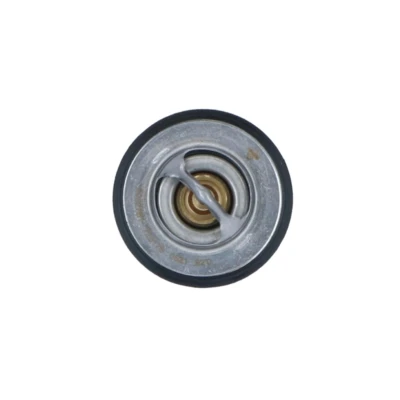 Afbeelding van Thermostaat, koelvloeistof NRF 725176