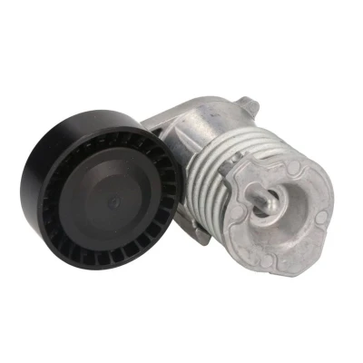 Afbeelding van Riemspanner, Poly V riem INA 534 0029 10
