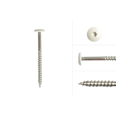 Afbeelding van Kleurkopschroeven Wit rvs 4.8 x 50 mm Doos 100 Stuks