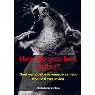 Afbeelding van How do you feel today?: Geef een positieve waarde aan elk moment van je dag