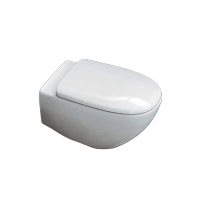 Afbeelding van Toiletbrilovertrek voor Flaminia stekker als originele thermo wit, normale ritssluiting van roestvrij staal of langzame softclose