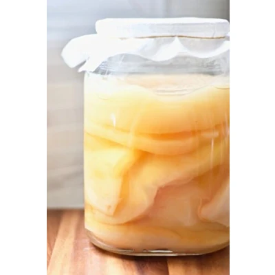 Afbeelding van JUN Tea 5L (XL) Kombucha Scoby gecertificeerd biologisch UKAS LAB getest voor groene thee en honing door Kombuchaorganic® Kwaliteit verzekerd uitstekende unieke kwaliteitsculturen