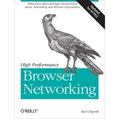 Afbeelding van High Performance Browser Networking