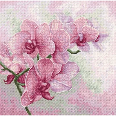 Afbeelding van Luca S Graceful Orchids borduren (pakket) B7009