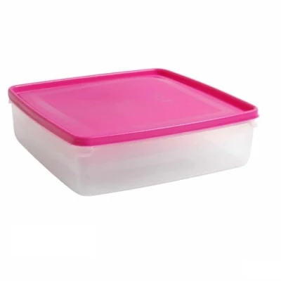 Afbeelding van Lunchbox Vierkant 24 x 7 cm (12 Stuks)