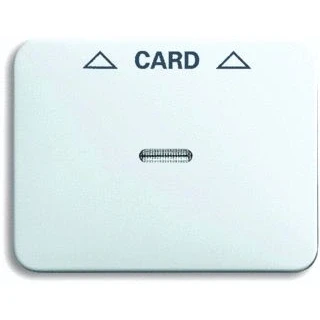 Afbeelding van BJ 1792 24G 101 CPLCARD SCHAK A ALST