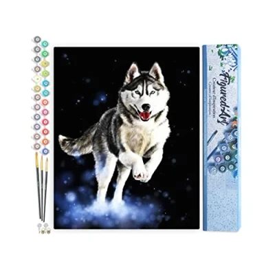 Afbeelding van Figured&#039;Art Schilderen op Nummer Volwassenen canvas Husky Handwerk acrylverf Kit DIY Compleet 40x50cm zonder frame