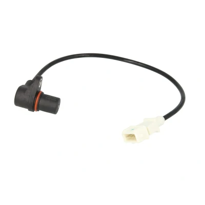 Afbeelding van Delphi Diesel Krukas positiesensor SS11020