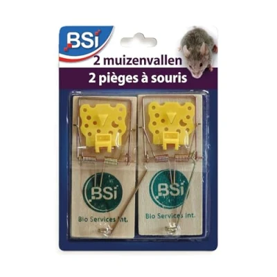Afbeelding van Traditionele Muizenval (2 Stuks) Tegen Muizen BSI Muizenvallen Ongediertewinkel