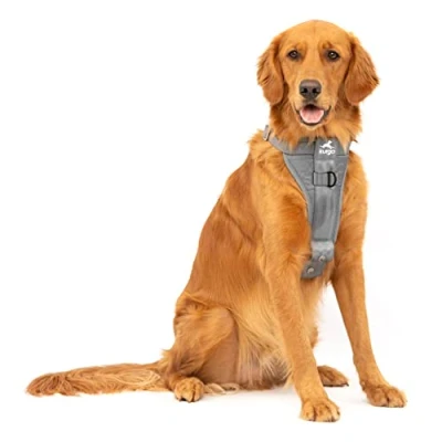 Afbeelding van Kurgo Tru Fit Versterkt Hondenharnas Crashtest getest autoveiligheidsharnas voor honden, No Pull Hondenharnas, Inclusief Veiligheidsgordel Huisdieren, Stalen Gespen (houtskool, large)