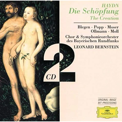 Afbeelding van Leonard Bernstein, Symphonieorchester Des Bayerischen Rundfunks Haydn: The Creation (2 CD) (Complete)