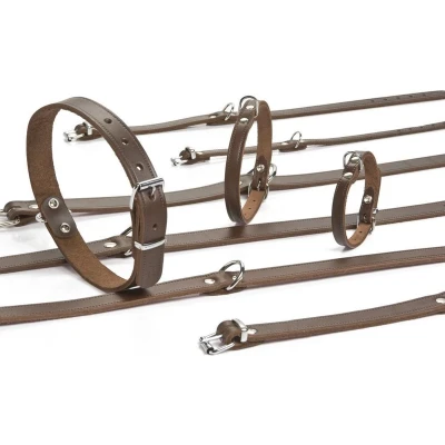 Afbeelding van Beeztees Halsband Hond Leer Bruin 47 57 cm x 25 mm