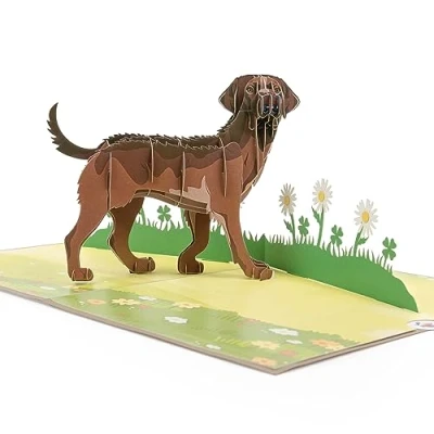 Afbeelding van Pop up hondenkaart, verjaardagskaart, felicitatiekaart, vriendschapskaart, cadeaukaart, verrassingskaart met een grote hond (labrador) en groene 3D weide bruin
