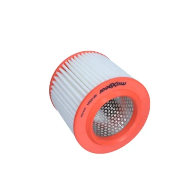 Afbeelding van Luchtfilter MAXGEAR 26 2484