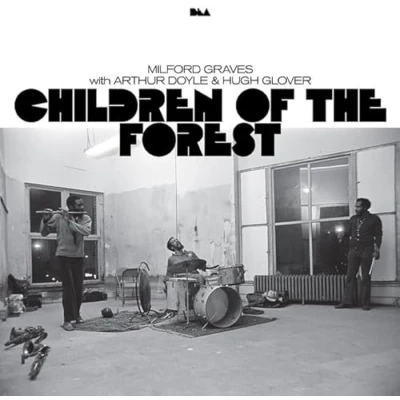 Afbeelding van Various Children of the Forest (2 LPs)