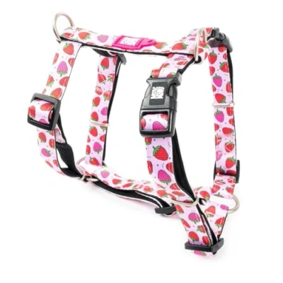 Afbeelding van Max &amp; Molly hondentuigje in H vorm, ultracomfortabel van neopreen voor zeer kleine honden, Strawberry Dream/XS, gevoerd, veilig en ultralicht, comfort je trouwe metgezel
