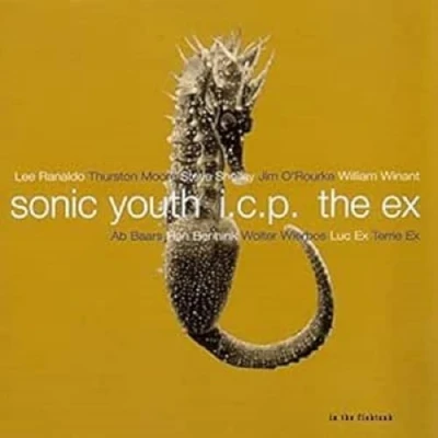 Afbeelding van Sonic Youth + The Ex LCP In Fishtank (CD)