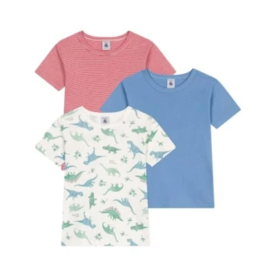 Afbeelding van Petit Bateau KIDS TEE DINO 3 PACK Hemd voor kinderen, Maat: 95, Marshmallow/multicolor/aloevera