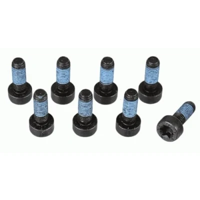 Afbeelding van Schroevenset, vliegwiel SACHS 1874 000 073
