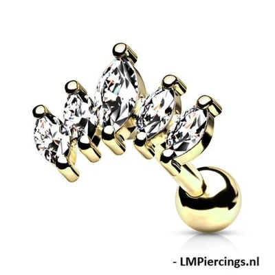 Afbeelding van Piercing Graduated set goud kleurig 6mm