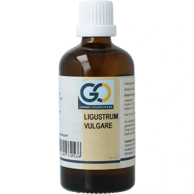 Afbeelding van GO Ligustrum vulgare bio 100ml