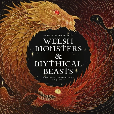 Afbeelding van Welsh Monsters &amp; Mythical Beasts: A Guide to the Legendary Creatures from Celtic Myth and Legend