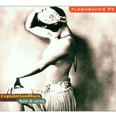 Afbeelding van Various Artists Flashbacks # 3: Hot &amp; Sexy (CD)