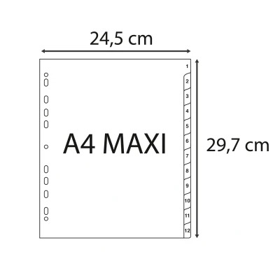 Afbeelding van Exacompta ref. 2912E Grijze gerecycleerde polypropyleen tabbladen met 12 numerieke bedrukte tabs van 1 tot Formaat A4 Maxi Afmetingen: 24,5 x 29,7 cm Blauer Engel gecertificeerd