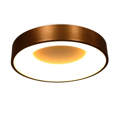 Afbeelding van Steinhauer plafonniere Ringlede brons 2563BR