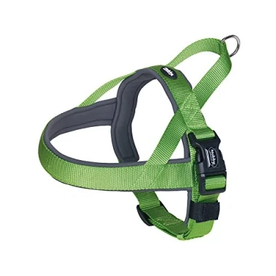 Afbeelding van Nobby Norweger servies &quot;Classic Preno&quot;, 50 64 cm+42 cm/25 35 mm, neon groen/grijs