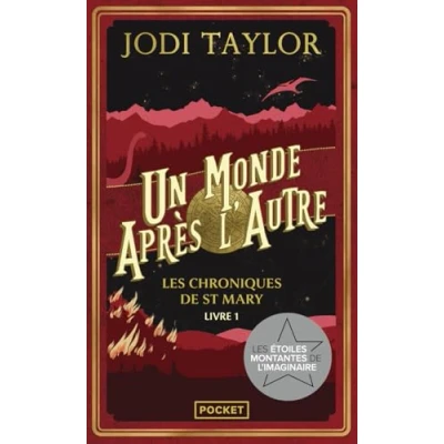 Afbeelding van Les Chroniques de St Mary Livre 1 : Un monde après l&#039;autre: l&#039;autre