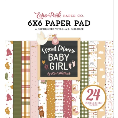 Afbeelding van Echo Park Special Delivery Baby Girl 6x6 Inch Paper Pad (SDG354023)