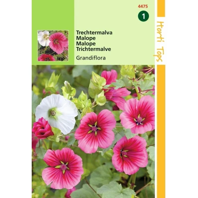 Afbeelding van Hortitops 2 stuks Malope Trifida Grandiflora Gemengd