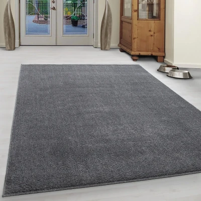 Afbeelding van Basics Effen Vloerkleed Lichtgrijs Laagpolig 120x170 cm