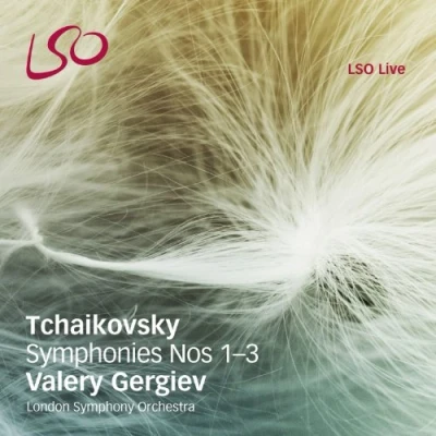 Afbeelding van London Symphony Orchestra Symphonies Nos.1 3 (2 CD)
