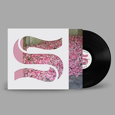 Afbeelding van Braxe &amp; Falcon Step By (LP)