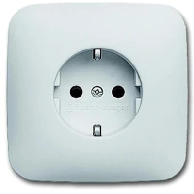 Afbeelding van Busch Jaeger Wandcontactdoos met volle afdekplaat 20 EUJR 214 503 alpin wit