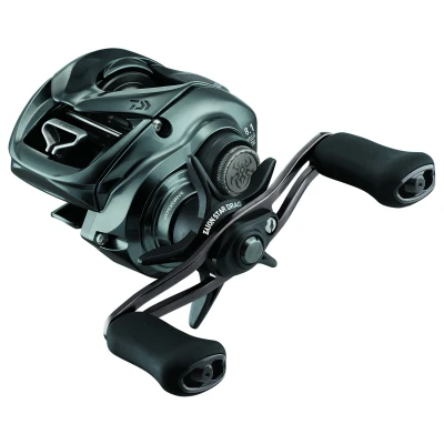 Afbeelding van Daiwa 24 Tatula SV TW 100XHL Baitcaster Reel