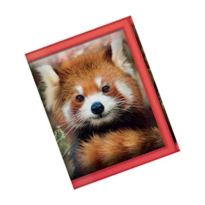 Afbeelding van 3D LiveLife Portemonnees Baby Rode Panda van Deluxebase. Wild Animal Portemonnee. Geld, munten, kaarthouder met illustraties onder licentie de beroemde kunstenaar David Penfound