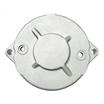Afbeelding van Startmotordeksel, carburateur AS PL SBR5016