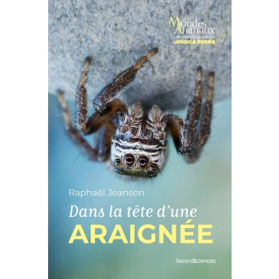 Afbeelding van Dans la tête d&#039;une araignée