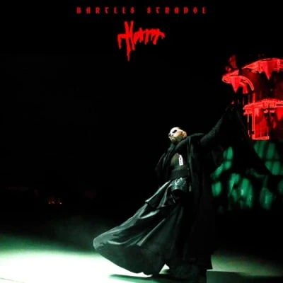 Afbeelding van Bartees Strange Horror (LP)