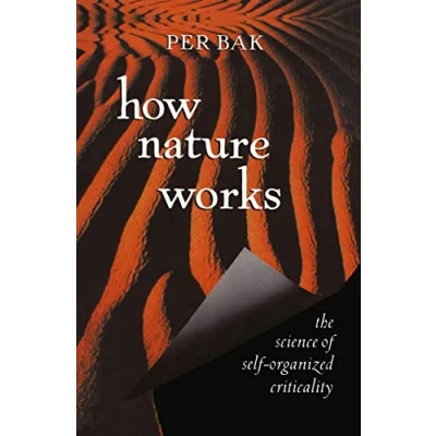 Afbeelding van How Nature Works: the science of self organized criticality