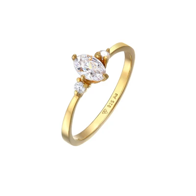 Afbeelding van ELLI Ring goud / zilver