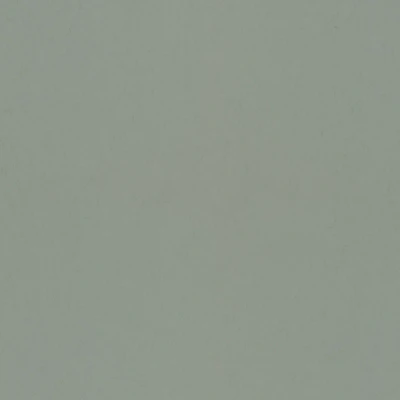 Afbeelding van Dutch First Class Fagelsang (*Met Gratis Lijm) 77002