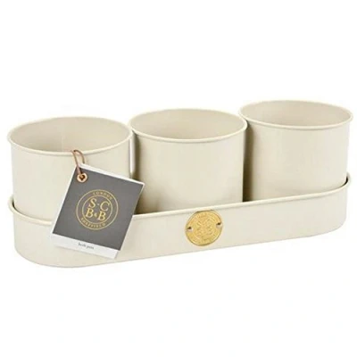 Afbeelding van Burgon &amp; Ball Sophie Conran Kruidenpot, 3 delige set, karnemelk
