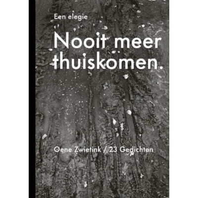 Afbeelding van Nooit meer thuiskomen, een elegie
