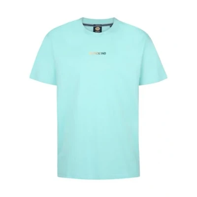 Afbeelding van Petrol Industries LOGO Palmsview Tshirt print, Heren, Maat: XL, Aqua